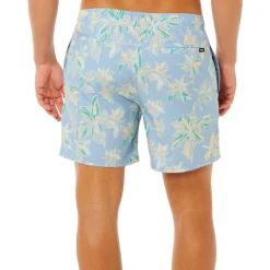 Sessions Volley - Men's Board Shorts