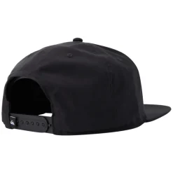 Silver Dollar - Men's Adjustable Cap
