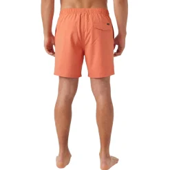 Solid Volley 2.0 - Men's Board Shorts