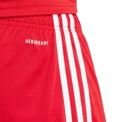Squadra 25 - Men's Soccer Shorts