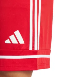 Squadra 25 - Men's Soccer Shorts