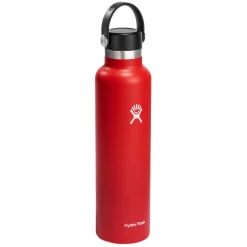 Standard Mouth 24 oz - Insulated Bottle