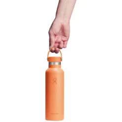 Standard Mouth Flex Cap 21 oz - Insulated Bottle