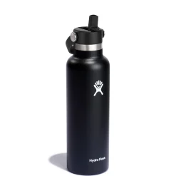 Standard Mouth Flex Straw 21 oz - Insulated Bottle with Retractable Straw Cap