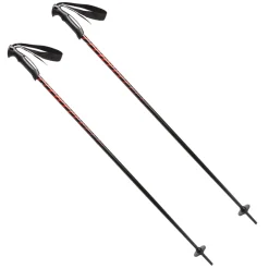 Team Core - Junior alpine ski poles