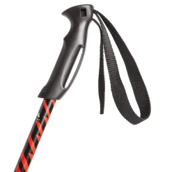 Team Core - Junior alpine ski poles