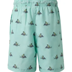 Terrance - Boys' Board Shorts