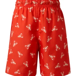 Terrance - Boys' Board Shorts