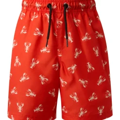 Terrance - Boys' Board Shorts