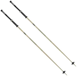 Triad - Men's Alpine Ski Poles