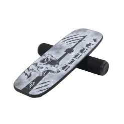 TS91 - Balance Board