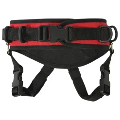 Ultimate Ski Harness - Ski Training Aid for Young Beginner