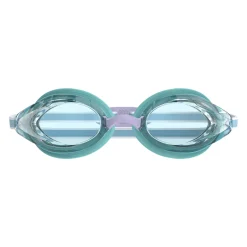 Vanquisher 3.0 - Adult Swimming Goggles
