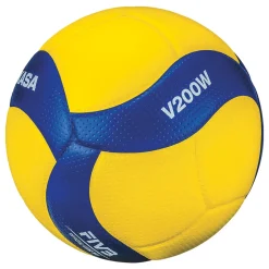 V200W - Volleyball