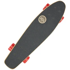 X-Ray - Skateboard